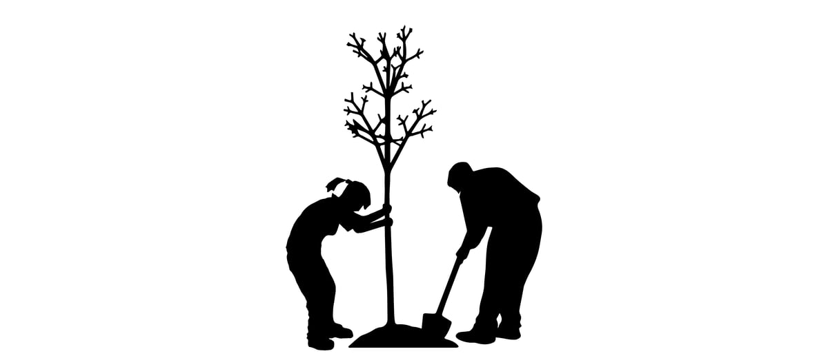 Baum V1-0_Zeichenfläche 1-1